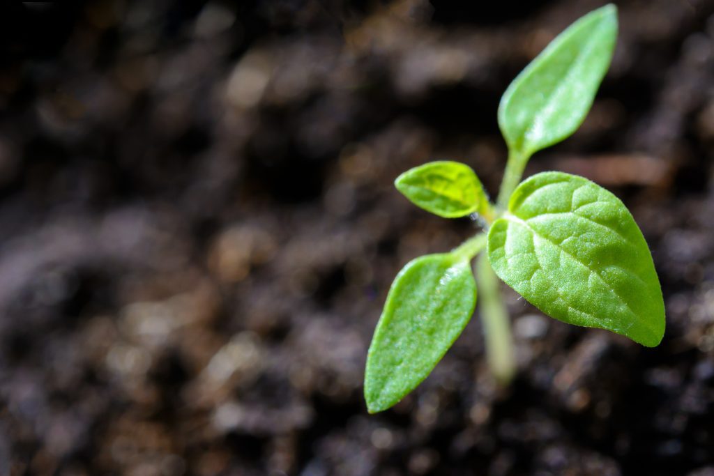 Operação Segura de Máquinas Agrícolas, Florestais e de Jardinagem (OSMAFJ)